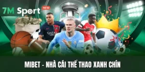 Mibet - Nhà Cái Thể Thao Xanh Chín, Tỷ Lệ Kèo Thơm 8 Mibet - Nhà Cái Thể Thao Xanh Chín, Tỷ Lệ Kèo Thơm