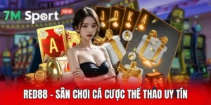 Red88 - Sân Chơi Cá Cược Thể Thao Uy Tín, Đẳng Cấp 2025 11 Red88 - Sân Chơi Cá Cược Thể Thao Uy Tín, Đẳng Cấp 2025