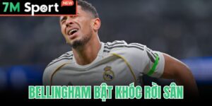 Bellingham Bật Khóc Rời Sân - Chấn Thương Gân Khoeo Nghỉ 10 Bellingham Bật Khóc Rời Sân